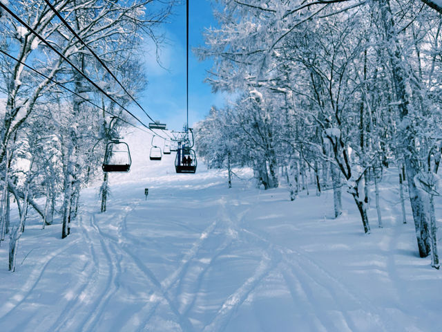 【極上パウダー】コスパ最強！カムイスキーリンクスで大満足❄️