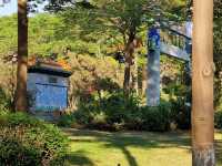 Xiamen in Autumn, lush and cool