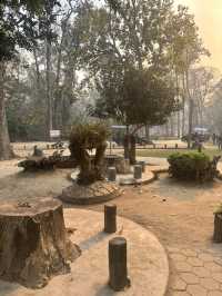 Crocodile breeding centre 