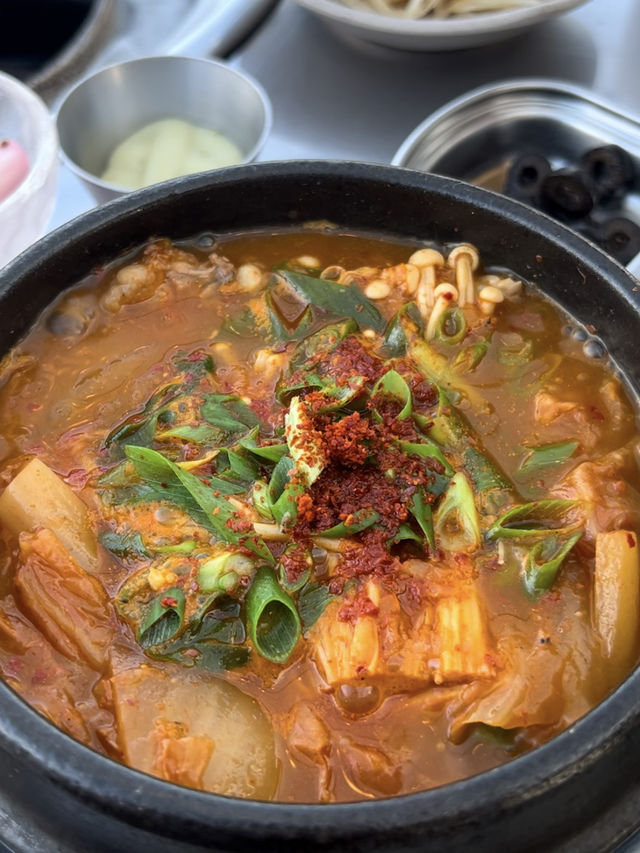 제주도 여기 왜안가요?제주힐링돼지🐷