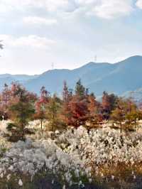 Siming Mountain National Forest Park: A Nature Lover's Paradise