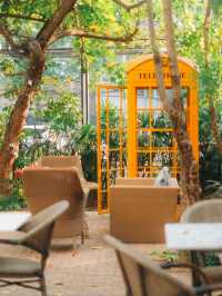 Caramellow Cafe เชียงใหม่ คาเฟ่หวานละมุน มุมสวย