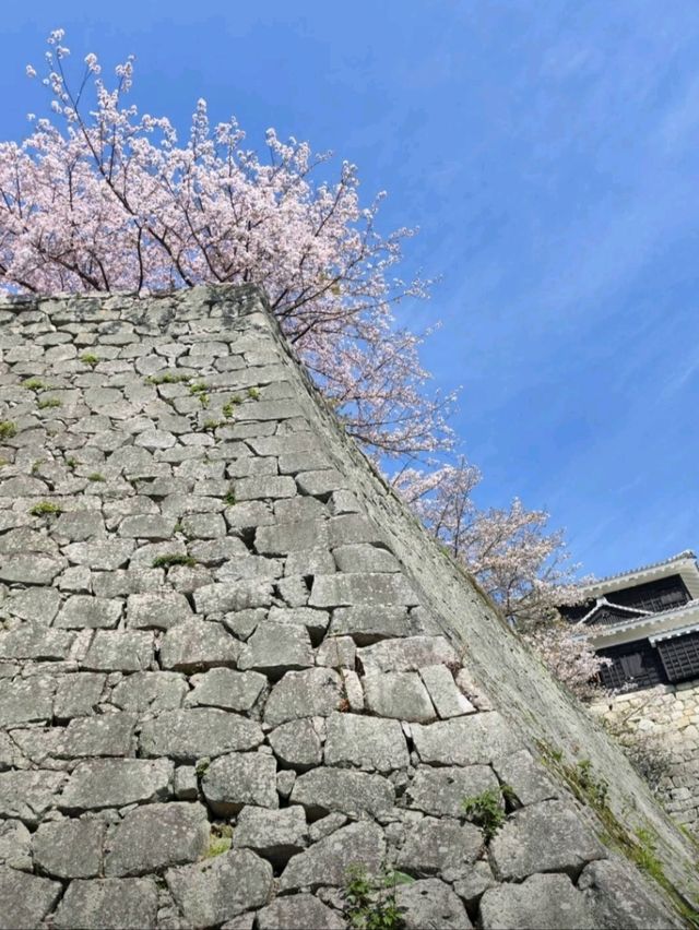 「春日-松山城」（日本.四國.愛媛縣）