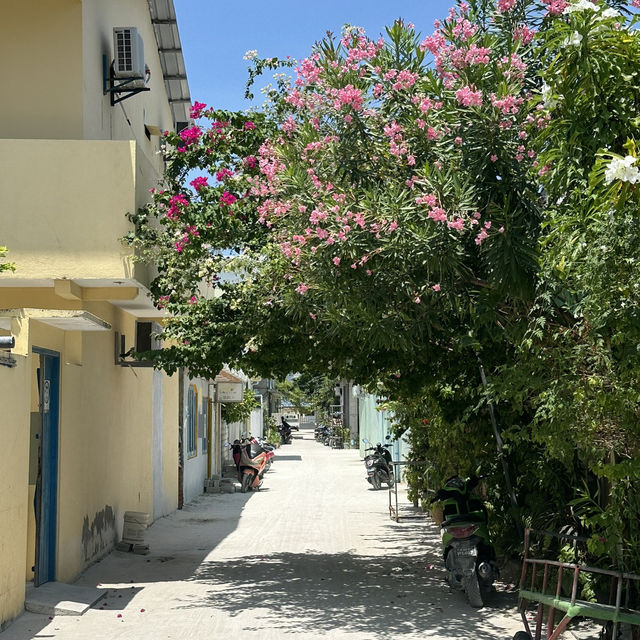 Maafushi Island ' 🌺🌴 ไปนอนเกาะโลคอลในประเทศมัลดี