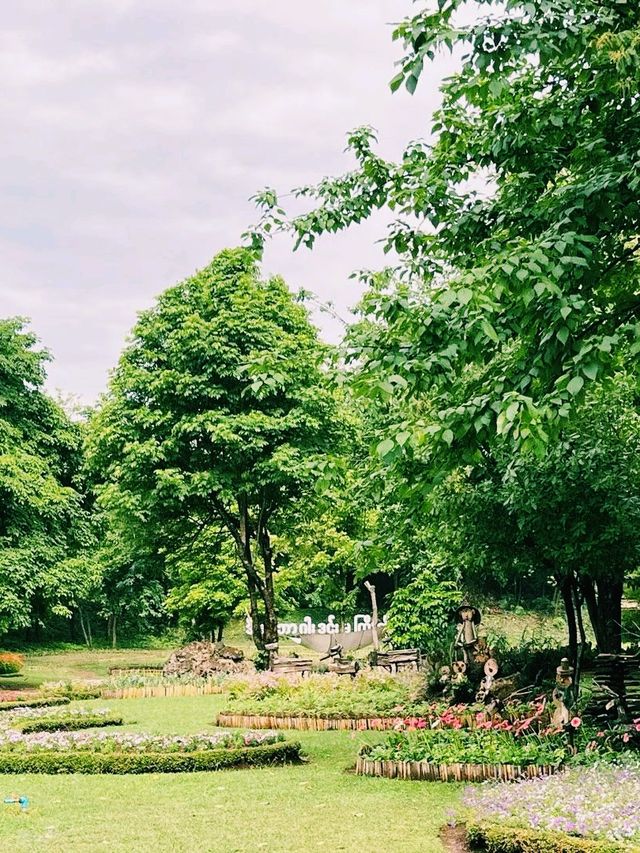 緬甸曼德勒著名旅遊景點：眉謬植物園，National Kandawgyi Garden，親近大自然，適合打卡拍照📸