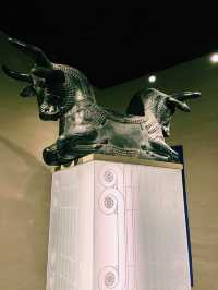 中国5000年の歴史を一気に学べる知の宝庫📔
