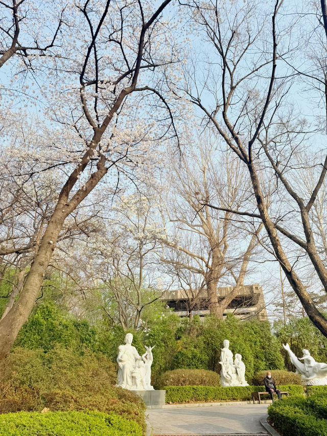 봄엔 벚꽃놀이를~!