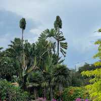 芳林公園·城市綠洲中的童趣