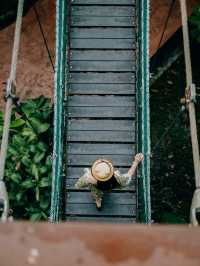 Urban Oasis: Exploring Nature at KL Eco Park