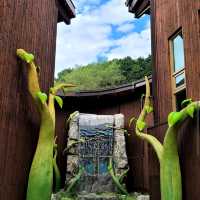 Jinhae Dream Road (Yeojwacheon Stream) – Korea’s Ultimate Blossom Tunnel