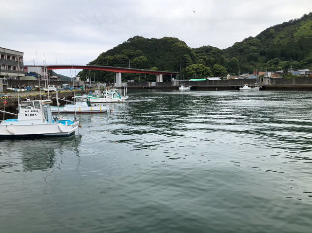 奥伊勢フォレストピアと漁港の絶景を満喫！自然と海の魅力を楽しむ休日🔥