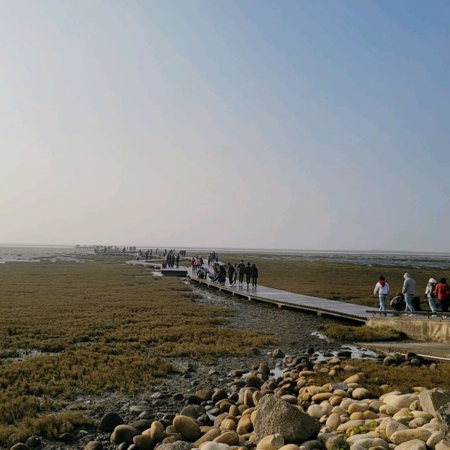 Chasing the Winds: An Epic Adventure at Gaomei Wetlands
