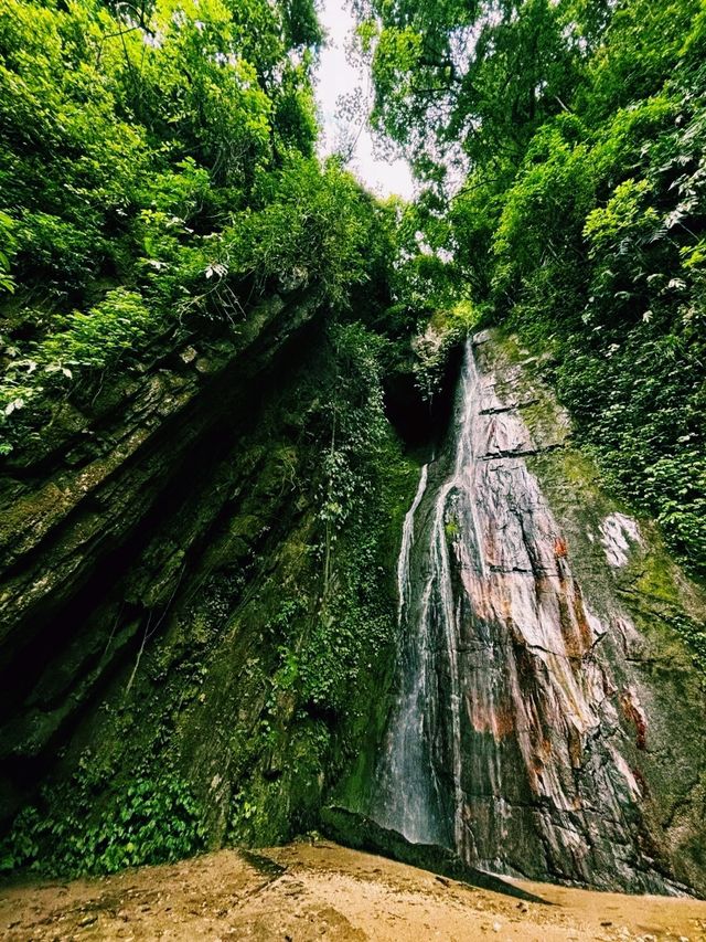 中國雲南騰衝著名景點高黎貢山自然保護區徒步旅行攻略，適合打卡拍照📸