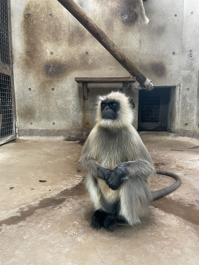 【山口】アート！遊園地！動物園！炭鉱！一日中楽しんで学べる公園・常磐公園