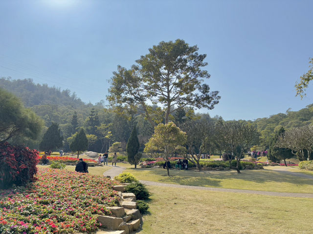  **🌸【廈門園林植物園】花卉園區：歐式花園裡的四季花海，邂逅浪漫與詩意！**  