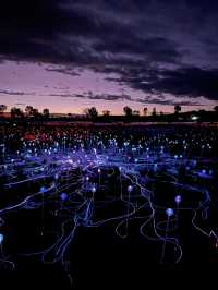 Desert in Bloom: Uluru in April is Pure Magic