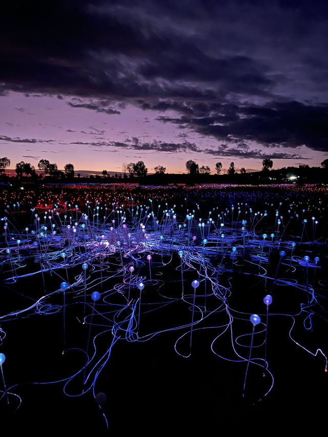 Desert in Bloom: Uluru in April is Pure Magic
