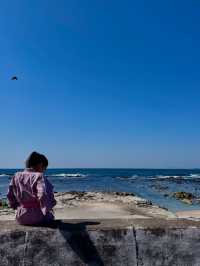 【千葉・鴨川】創業180年の人気の老舗旅館