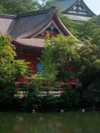井の頭公園で心癒されるスナップ撮影🌳