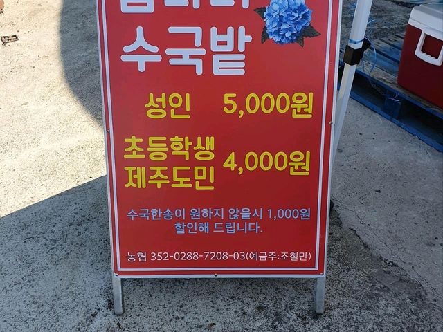 답다니수국밭