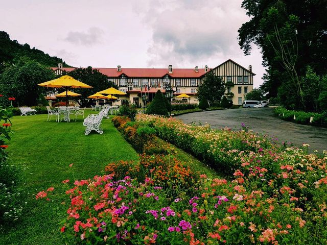 斯里蘭卡Nuwara Eliya 旅行攻略，適合打卡拍照📸
