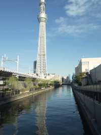 Walking around in Tokyo