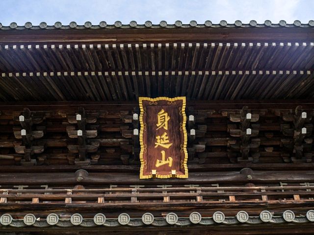 Blossoms in Stillness: Springtime at Minobusan Kuonji