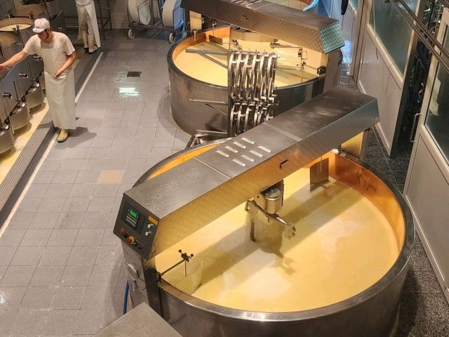 [🇨🇭グリュイエール] 香り高い伝統を体感、グリュイエールチーズ工場見学へ