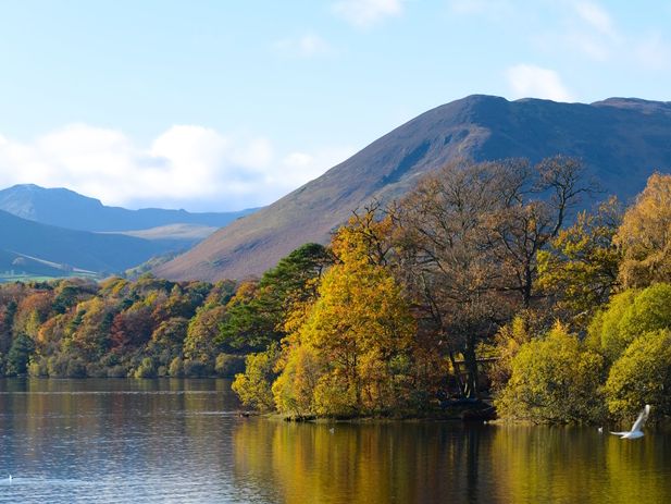 英国の最も美しい村🏞️Biburyスナップ
