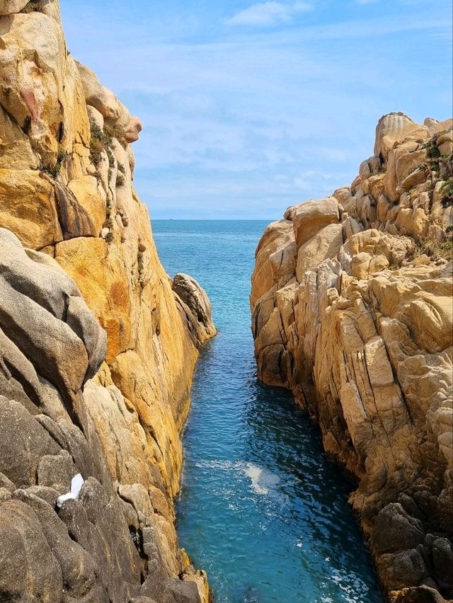 날씨 좋은 날 산책 장소로 딱, 대왕암 공원🌳