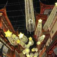 Autumn Whispers in Yu Garden