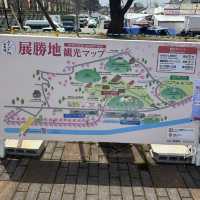 【岩手】この季節に見たい絶景🌸2025