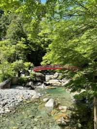 【岐阜】青もみじと赤い橋のコントラストに魅了