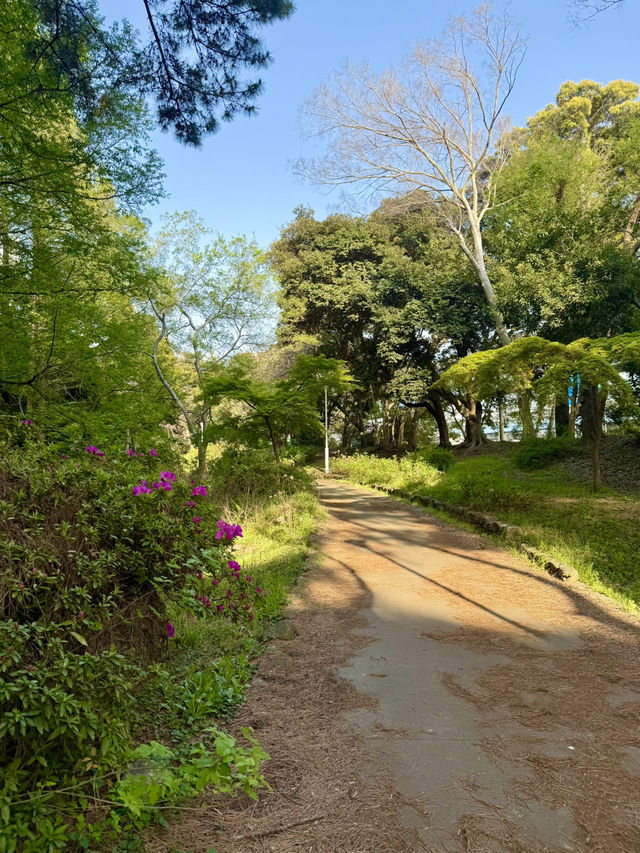 Spring Walks at Yumenoshima Green Road Park