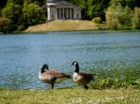 Nature Escape at Hampstead Heath