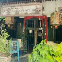 Eclectic Harmony at The Baboon House