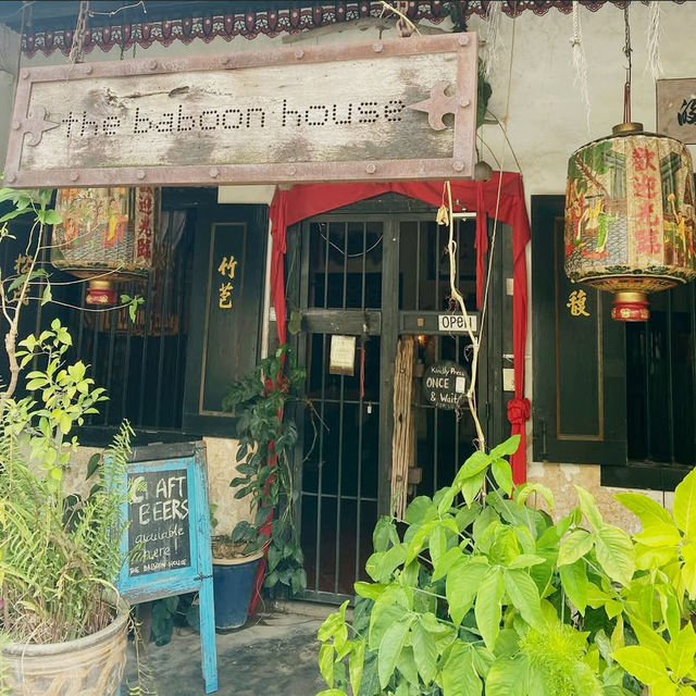 Eclectic Harmony at The Baboon House