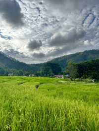Discover the beauty of Lake Toba, Indonesia