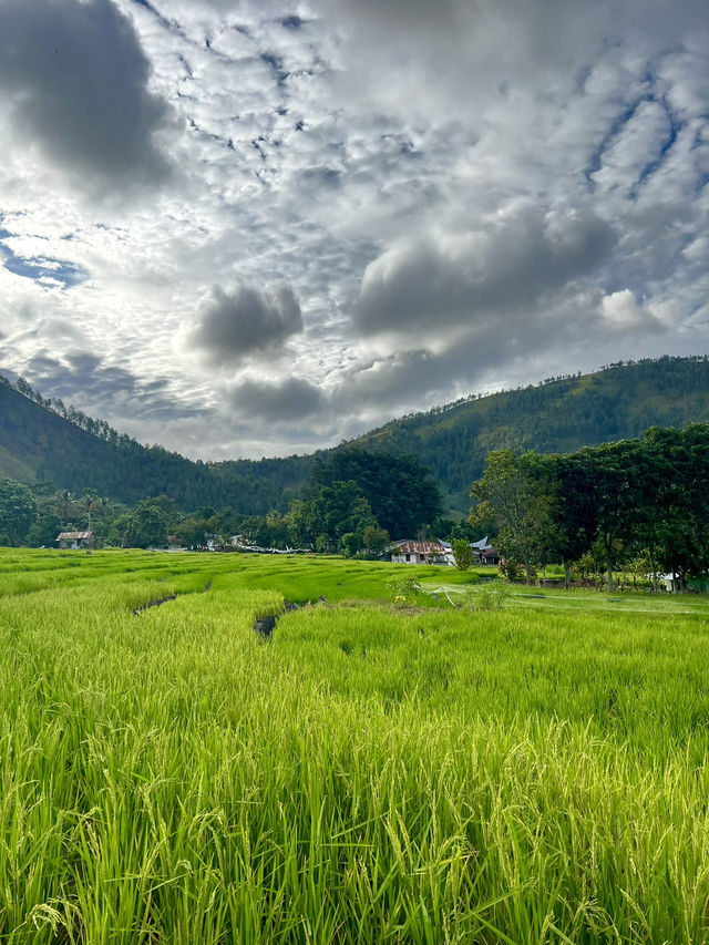 Discover the beauty of Lake Toba, Indonesia