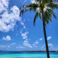Waldorf Astoria Maldives Ithaafushi