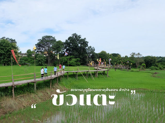ขัวแตะ สะพานบุญไม้ไผ่วัดพระธาตุสันดอน ลำปาง