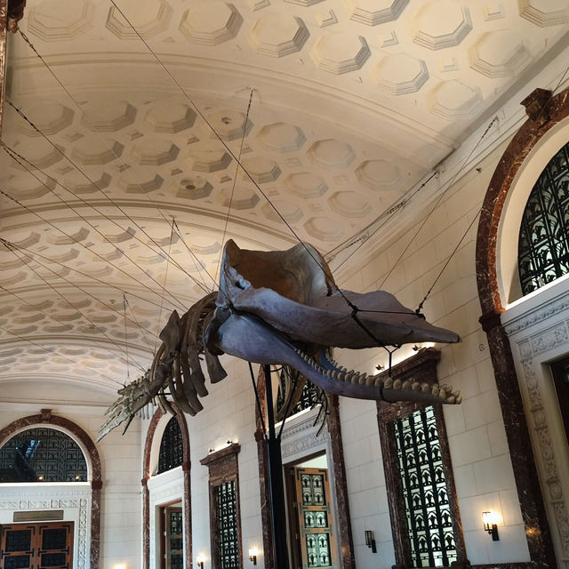A Journey Through Nature: National Museum of Natural History 