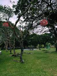 Hidden in Bloom – A Secret Garden Escape in Putrajaya