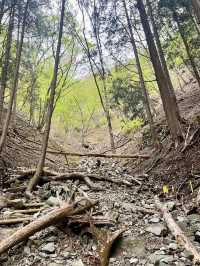 【神奈川】鍋割山⛰️