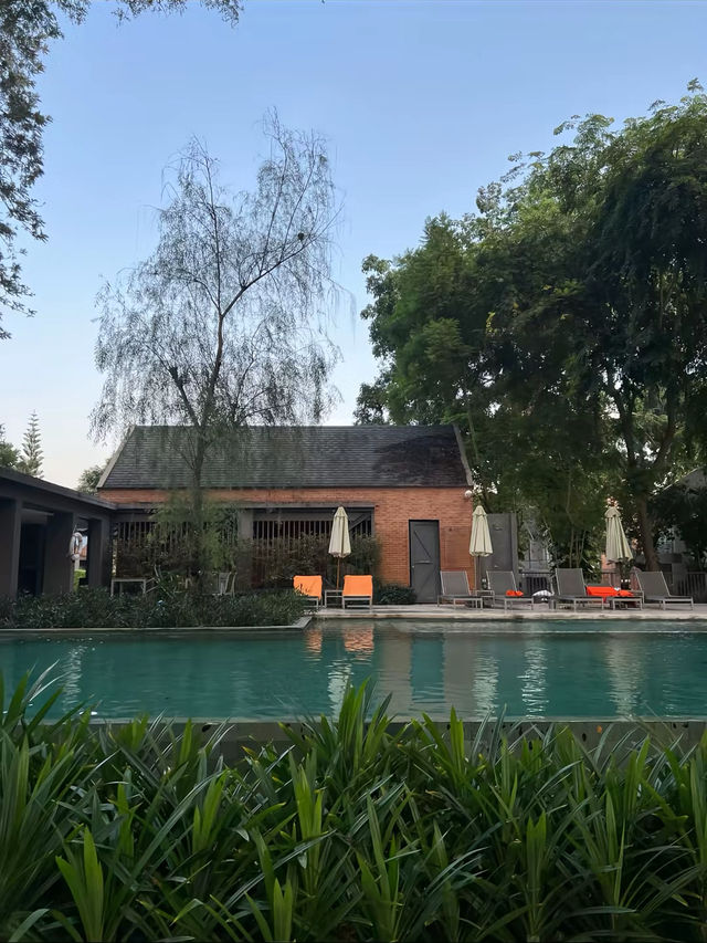 Flora Creek เชียงใหม่