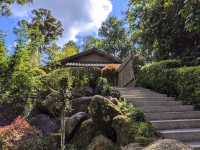 🍃 Zen Vibes Only: A Peaceful Pause at Bukit Tinggi’s Japanese Garden 🏯✨