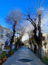 Winter Wonderland at Princes' Islands, Istanbul!