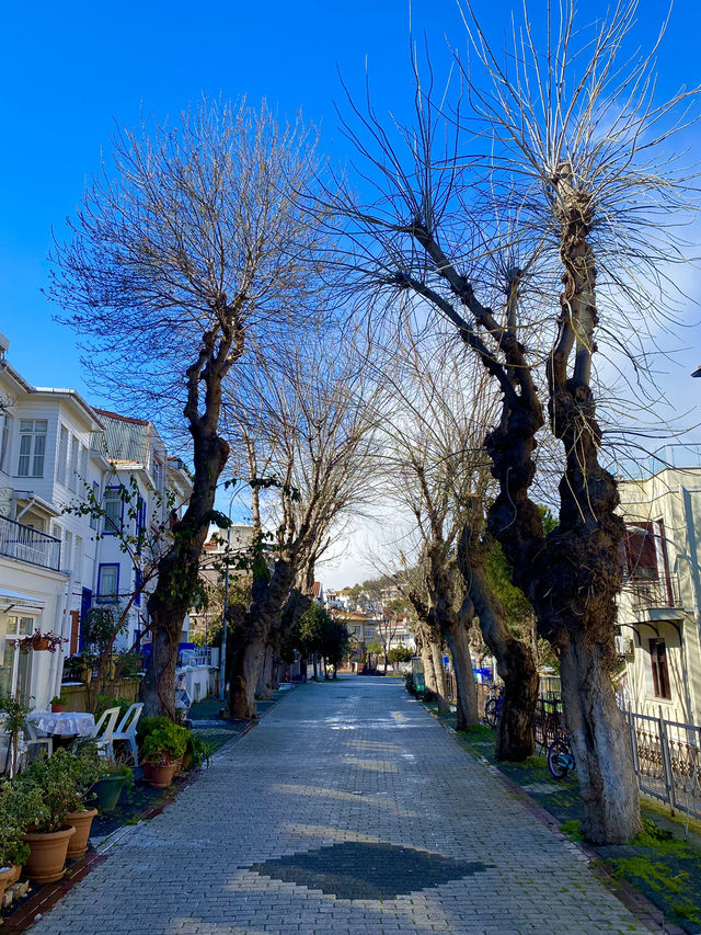 Winter Wonderland at Princes' Islands, Istanbul!