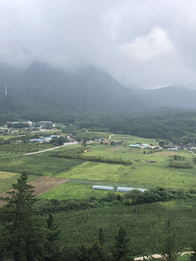 🏝️ 울릉도 여행 완벽 코스 – 관광안내소부터 독도까지