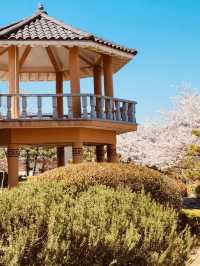 Wonye Arts Village: A Tapestry of Horticultural Artistry 
